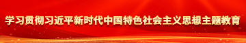 女胖子操逼学习贯彻习近平新时代中国特色社会主义思想主题教育